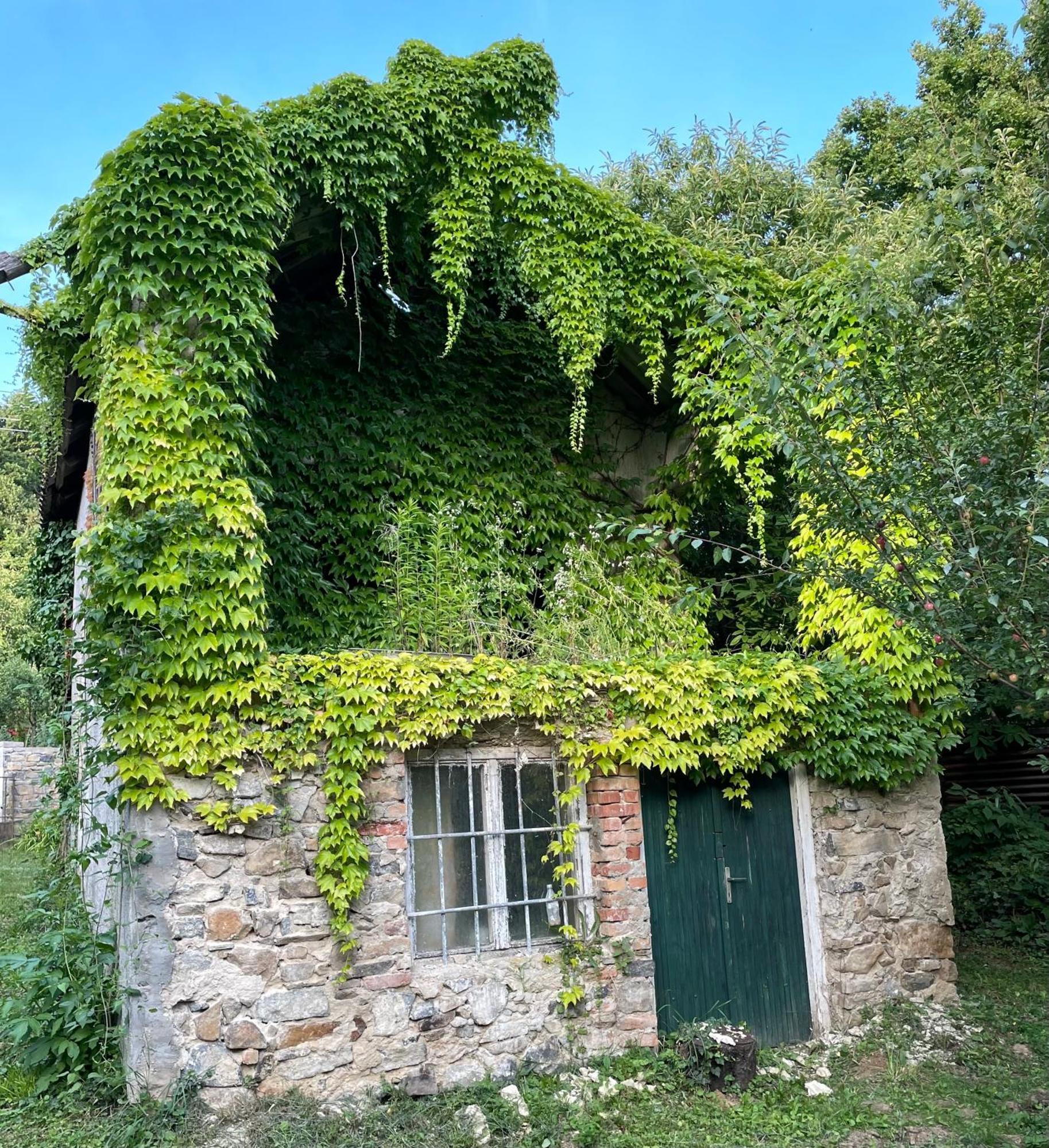 Apartamento Stupa-Rezi-Tatika-Haz Zalaszanto Exterior foto